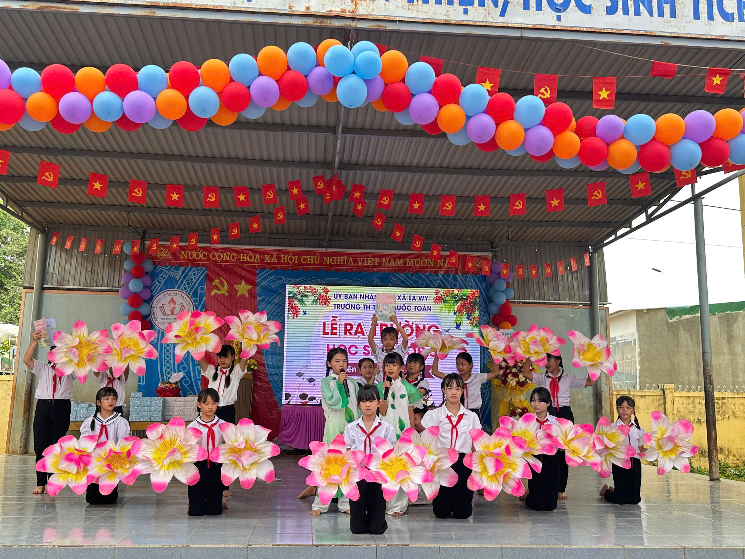 vn3